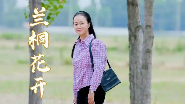 兰桐花开对销售有着自己独到的见解美女的这份计划能否成功