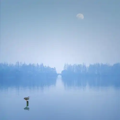 云淡风轻_风景_颇可