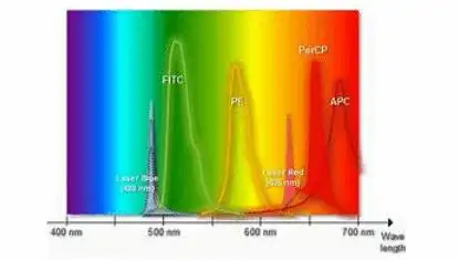 phaehrp荧光标记pha红细胞凝集素