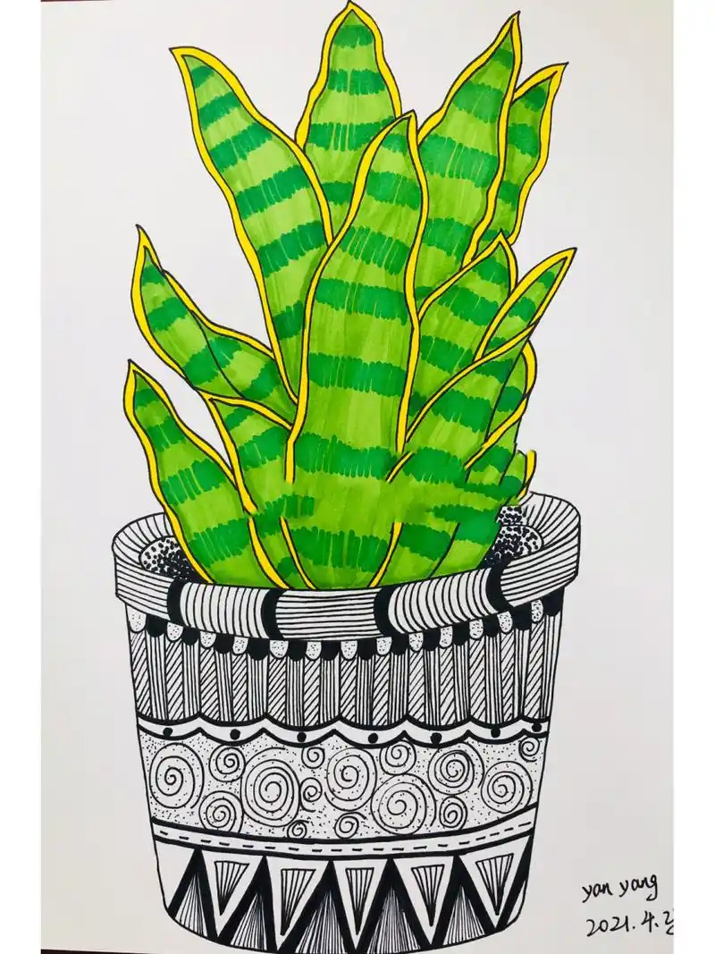 【儿童画植物-虎皮兰】 马克笔上色 黑白线描画 难度系数低,效果却是