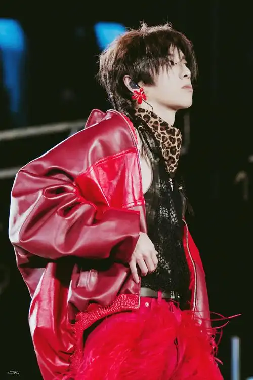 华晨宇 红色婚纱##2023华晨宇火星演唱会