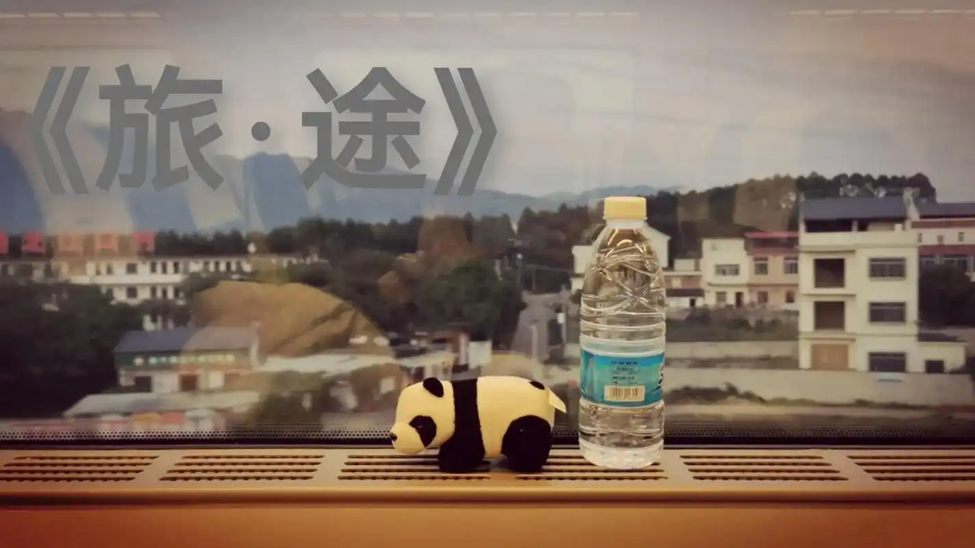 《世人无数 余我独行》#一个人的旅程 #人生如逆旅我亦是行人 - 抖音