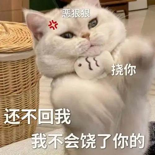 沙雕表情包合集