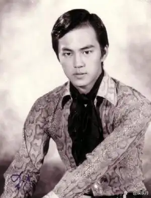 狄龙不做大哥好多年中年失意后的爽文早在二十年前就有了