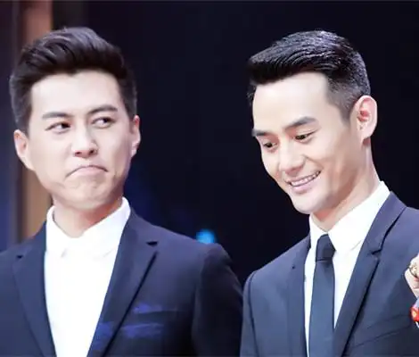 2015年由于《琅琊榜》和《伪装者》两部热播电视剧,王凯,靳东走红人气