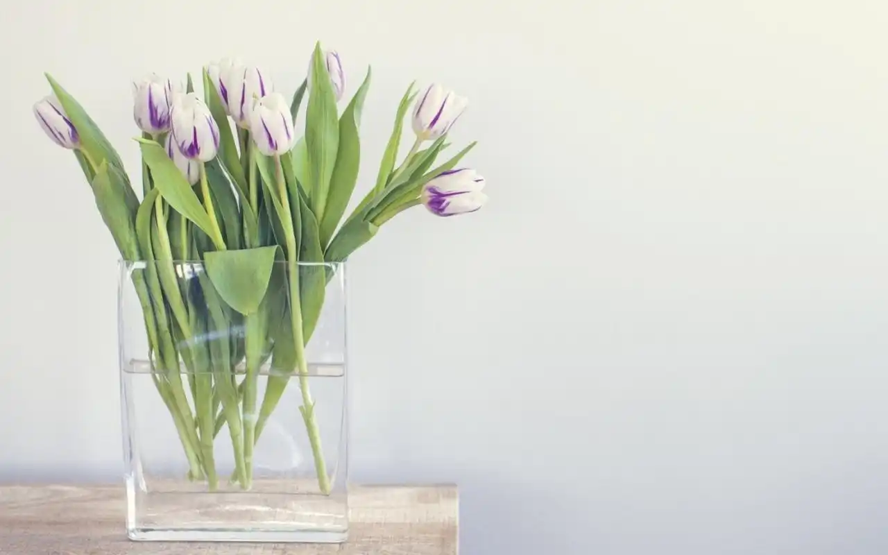 居家花瓶文艺高清桌面壁纸高清大图预览1920x1200_风格壁纸下载_美桌