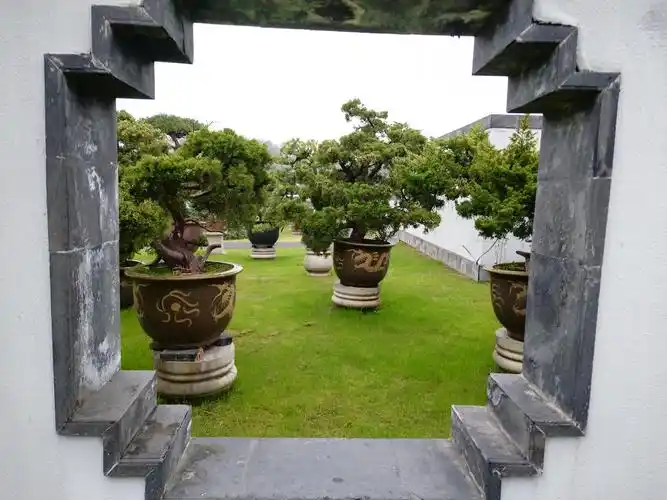 扬州瘦西湖盆景!