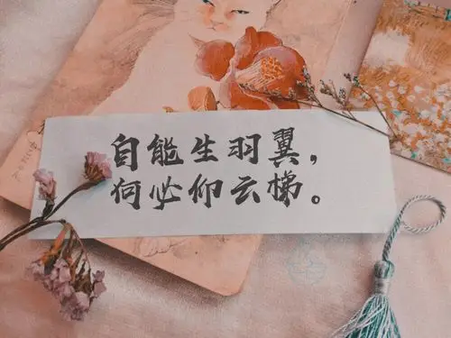 "自能生羽翼,何必仰云梯."手写/摆拍/举牌/文案字:堆糖.