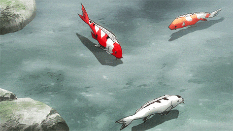 锦鲤动图欣赏_鱼旺_吉祥_年年