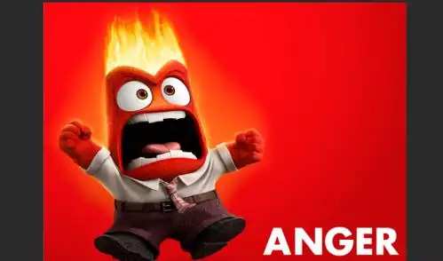 愤怒;怒气;生气;愤懑 vt.& vi.