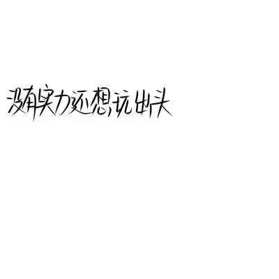 手写/背景/挂公司拽句/狠句