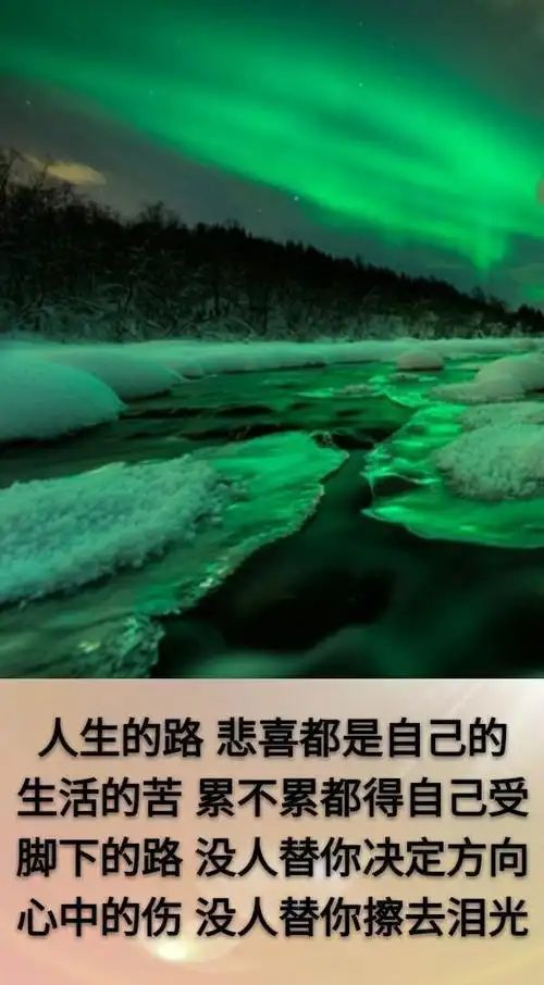 晨起暮落是日子风吹雨打知生活苦尽甘来懂人生