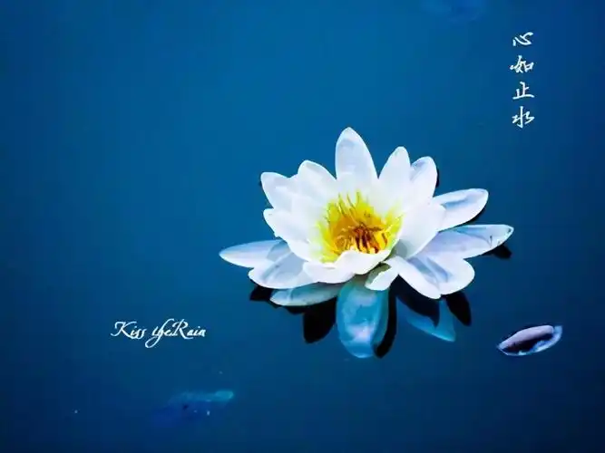 "心如止水":"唯止能止众止",气定神闲,泛应曲当