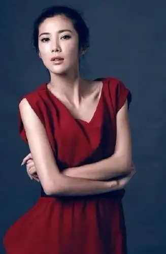 王珂个人资料中国内地演员王珂