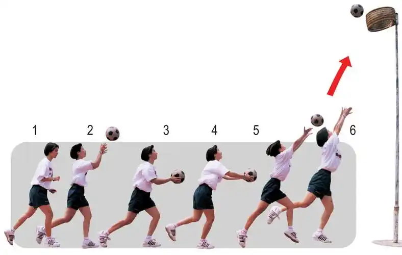 right;"> strong> span style="font-size:24px">上篮连续动作 /span