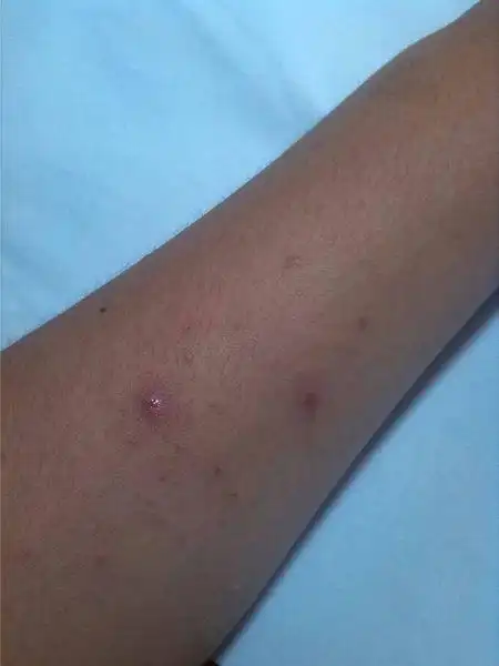 专业的来.帮帮我啊