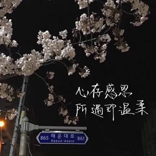 「原创手写」黑白背景图素材二传注明出处