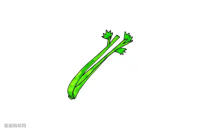 蔬菜简笔画大全芹菜简笔画怎么画