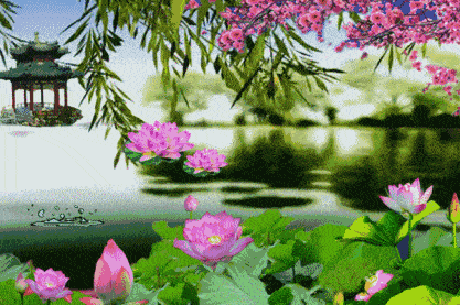 417_277gif 动态图 动图