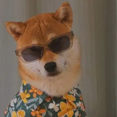 2022笑死人的搞笑狗狗头像,狗戴墨镜搞怪吧