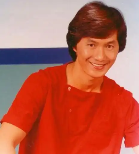 香港四大天王以前的有名歌手(失声早逝老来得子)(10)