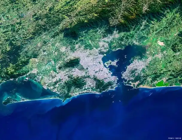 揭秘海洋的奥秘:深海生物,海底地形与珊瑚礁的秘密