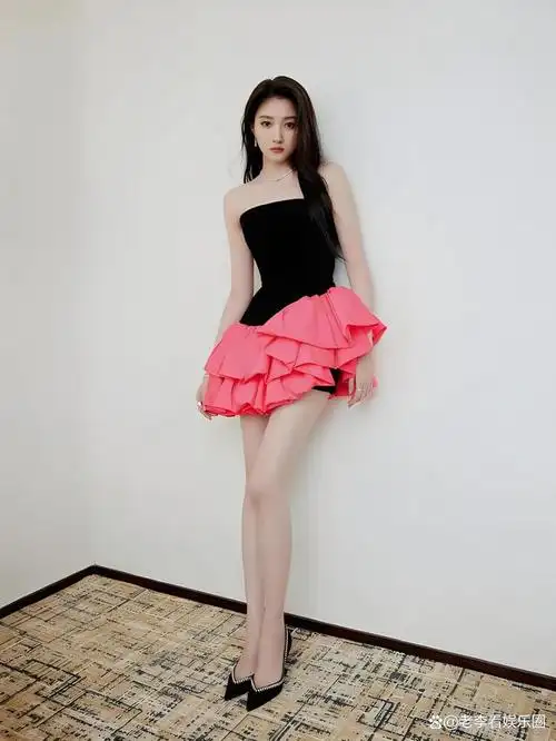 腿粗还总爱穿丝袜的女星总会有人偏爱这一款