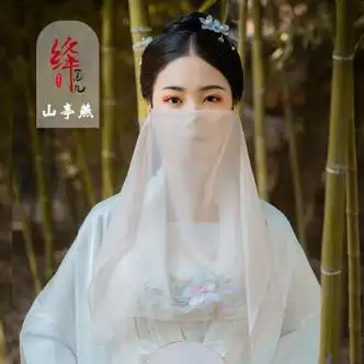 辞柠面纱古风挂耳汉服面纱绛尾儿 珍珠绣花面纱 汉服配饰古风蒙脸