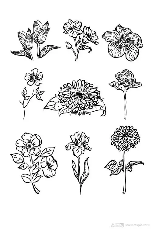 线条简约花卉手绘