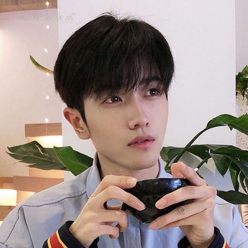 假发男中分蓬松帅气