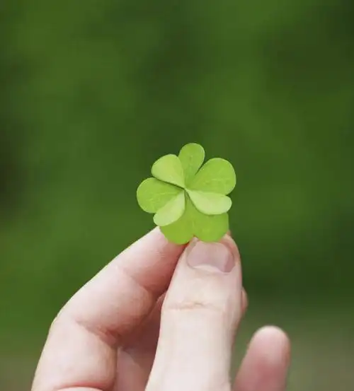 自由,欧洲,欧洲人,仅一个年轻女性,仅一个女性,仅一个人,握,四叶草