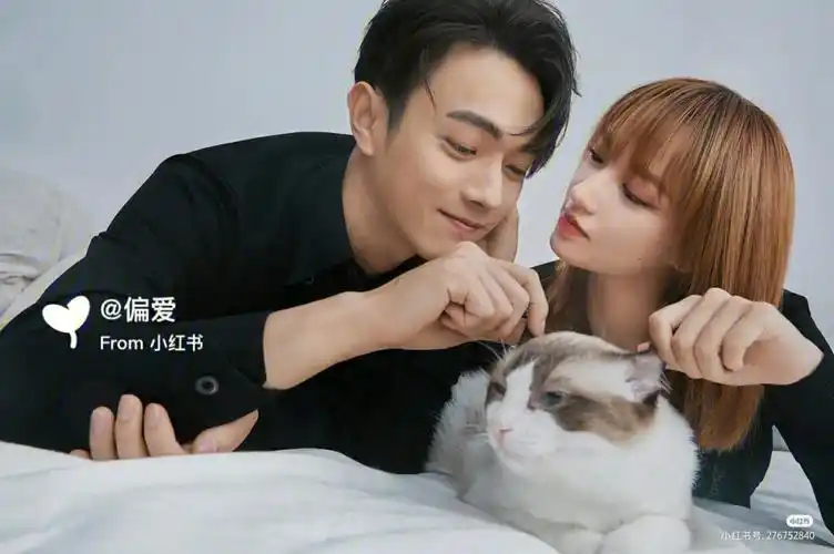 程潇许凯太爱了
