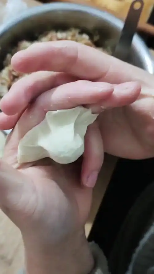 全民最牛手艺人#包饺子慢动作手法