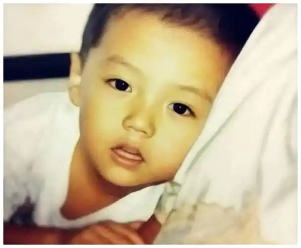 刘亦菲的颜值一直都很惊艳,更是从小美到大,小时候的她无关于现在无异