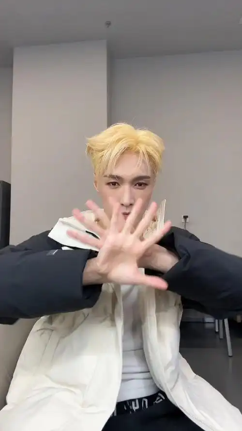 张艺兴手势舞像开了3倍速