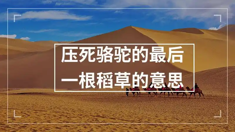 压死骆驼的最后一根稻草的意思