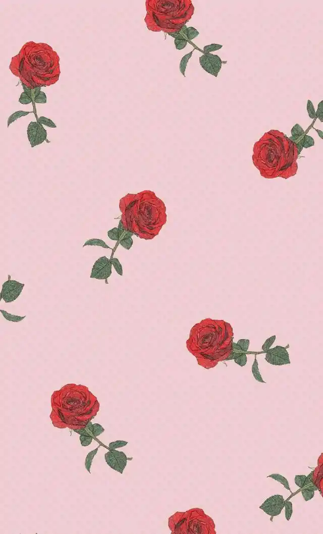 手机壁纸:没有花,这刹那被破坏吗,以不浪漫罪名将你逮捕!