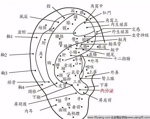 耳朵上方有痣的人,很有才干,才华洋溢,脑筋转得很快,有福气,并且能够