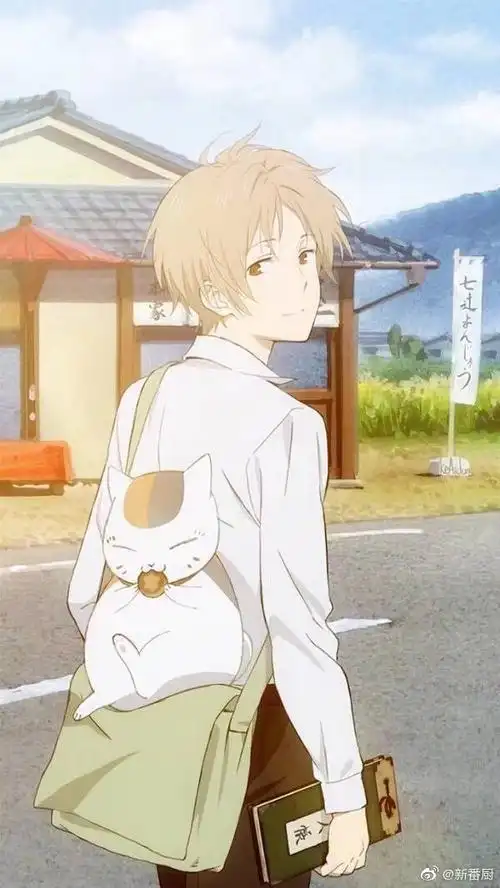 白衬衫少年图鉴##次元微光计划