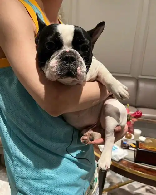 话说馒头的出镜率也太高了点,小黄终究是过气了