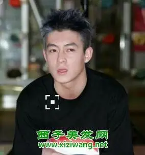 陈冠希阴阳头发型侧面