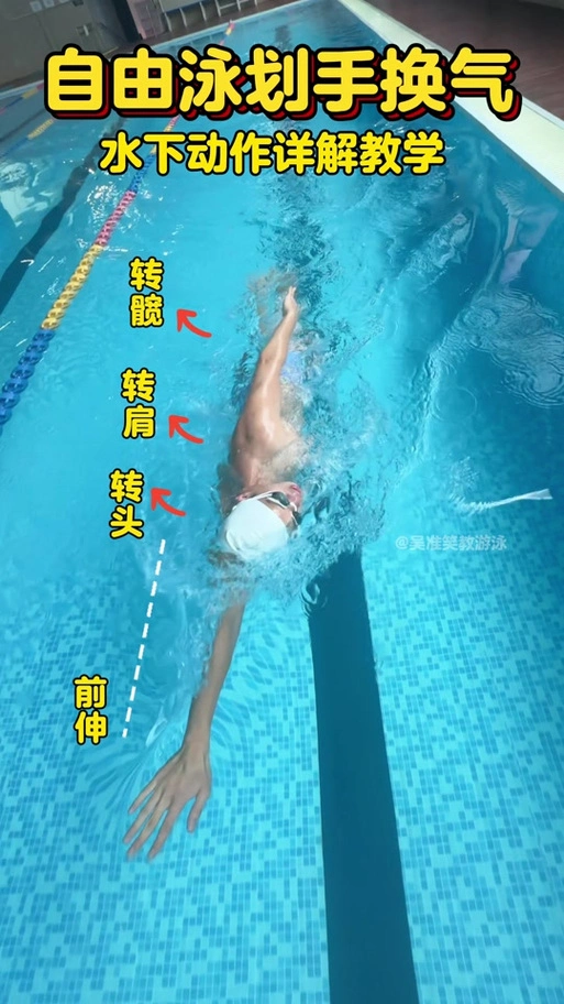 自由泳划手换气水下详解教学,易懂易学易掌握#自由泳 #运动员 #游泳