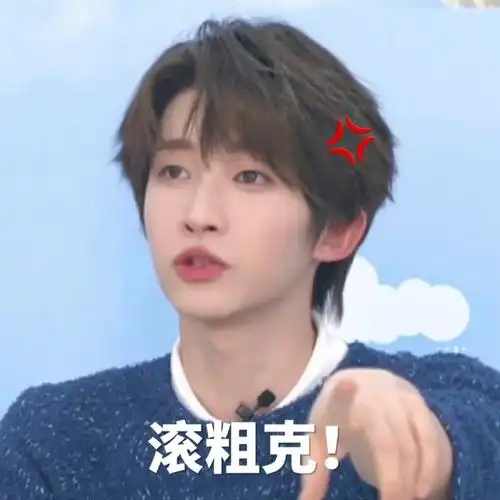 自制表情包92二改二传@into1-刘宇