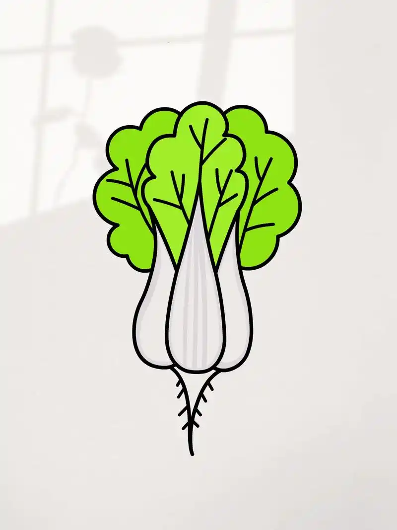 教你用字母w画大白菜简笔画,轻松拿捏.#简笔画 #白菜简笔画 - 抖音