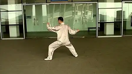 新拍·陈式太极拳56式