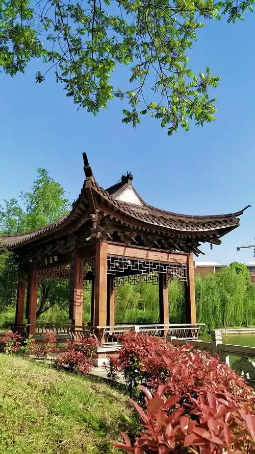 满园春色关不住海安江淮文化园手机摄影