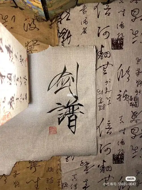 剑谱第一页下一句大家来接02