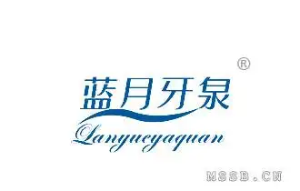 蓝月牙泉-第3类商标转让-《名尚网》