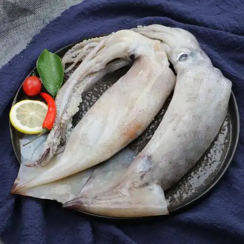 鲜驰火锅鱼尤冰冻包邮冰海鲜烧烤新鲜冷冻超大冷冻鱿鱼