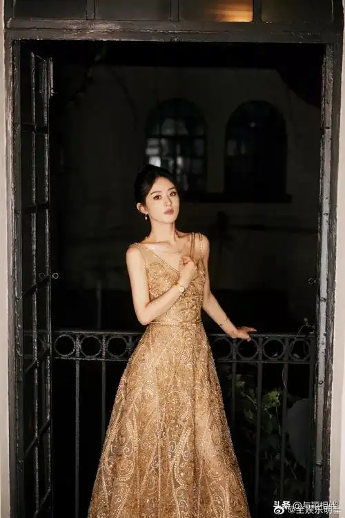 赵丽颖金丝刺绣长裙